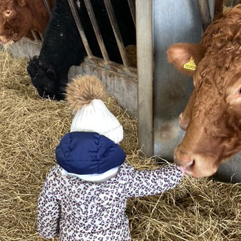 Farm - Gallery - 13