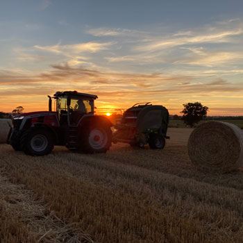 Farm - Gallery - 4