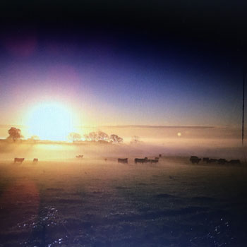 Farm - Gallery - 9