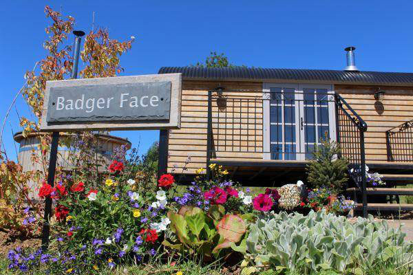 Badger Face - from current website 1