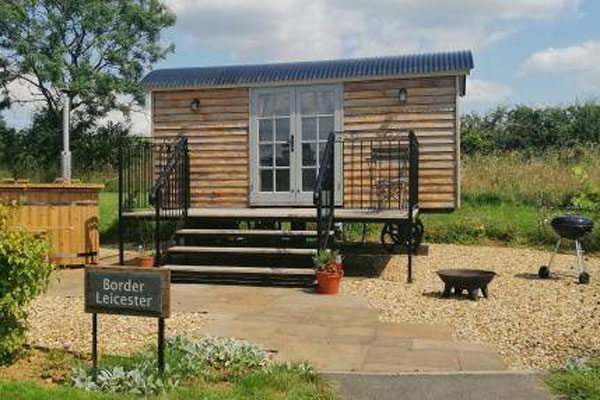 Border Leicester - from current website 1