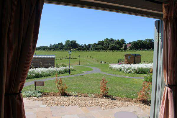 Border Leicester - from current website 3