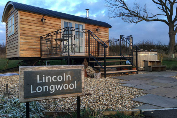Lincoln Longwool - from current website 1