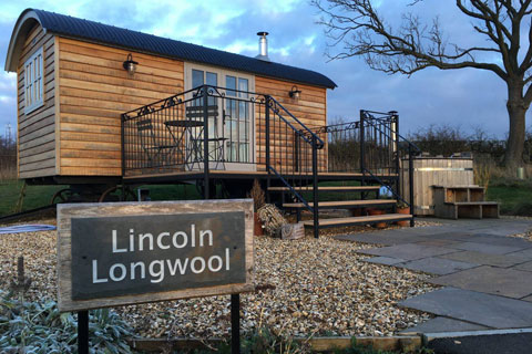 Lincoln Longwool