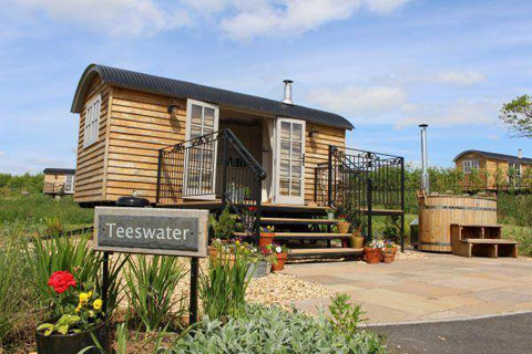 Teeswater